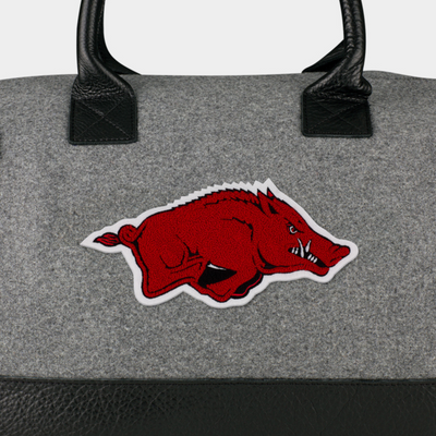 Arkansas Razorbacks