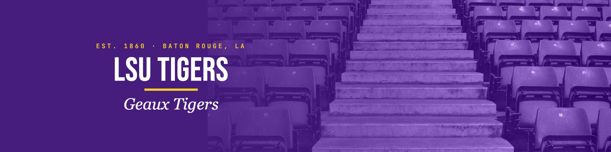 Louisiana Tigers Bags & Gear