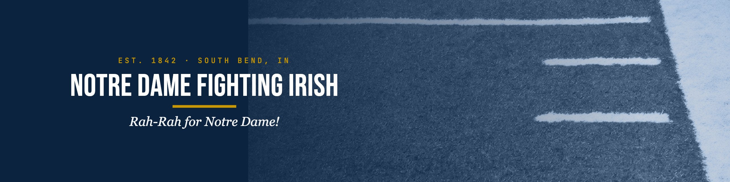 Notre Dame Fighting Irish Bags & Gear
