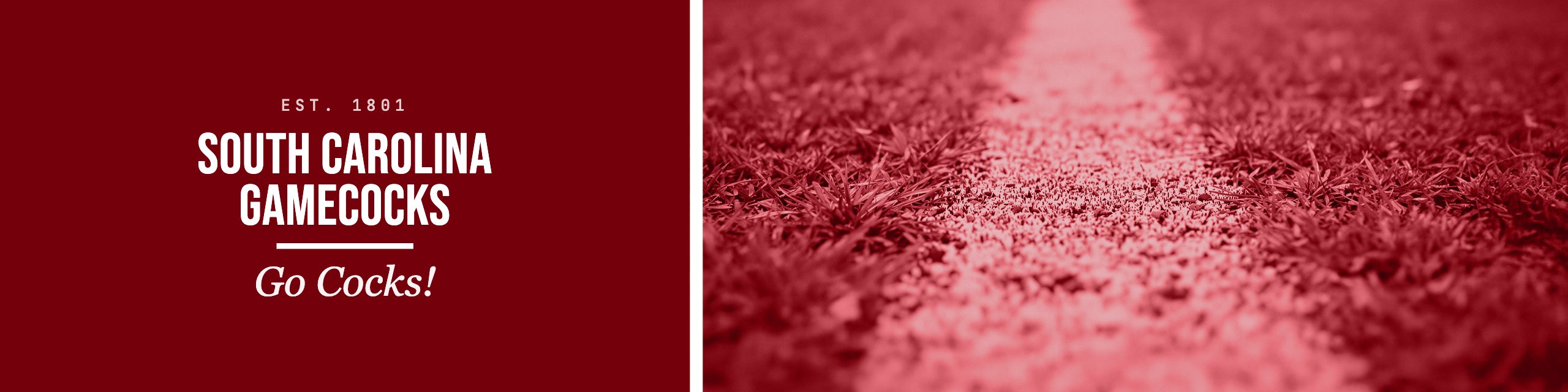 South Carolina Gamecocks Bags & Gear